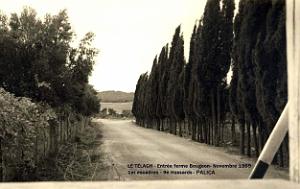 Palica - C- Le Telagh 002